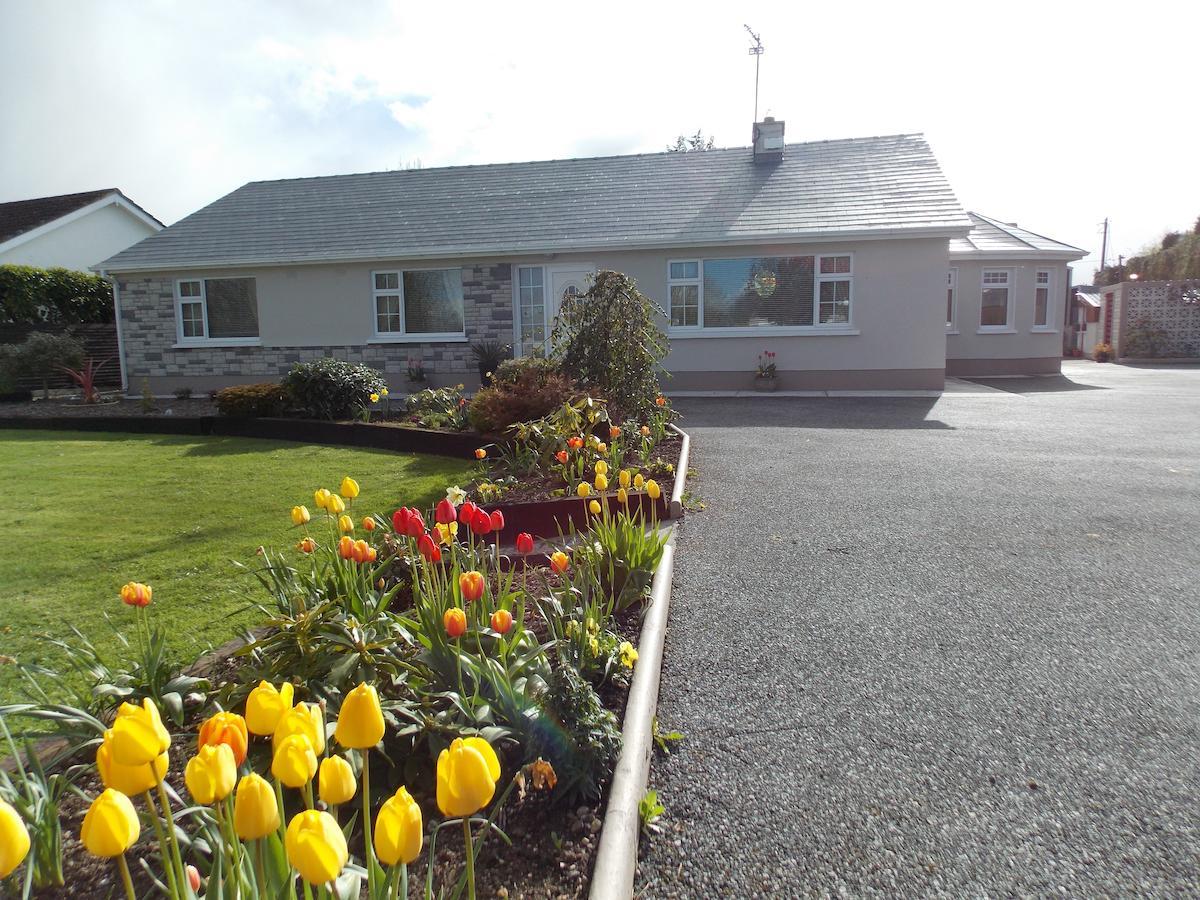 Barrow View Accommodation Mountmellick Buitenkant foto