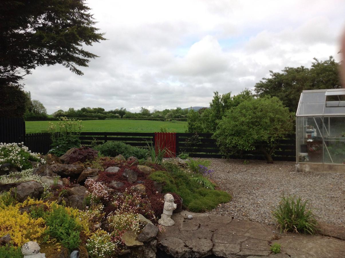 Barrow View Accommodation Mountmellick Buitenkant foto