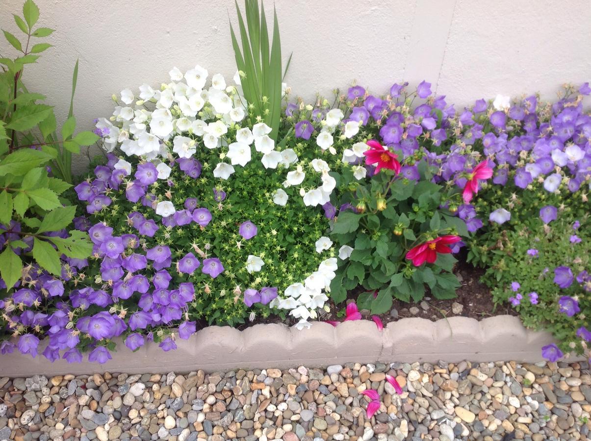 Barrow View Accommodation Mountmellick Buitenkant foto